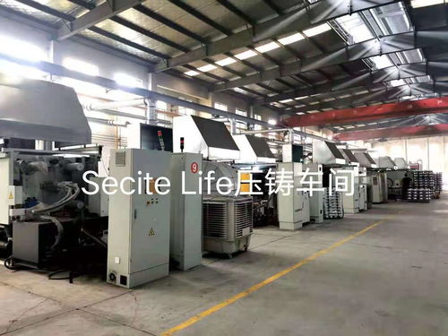 secite 新思特是做什么的